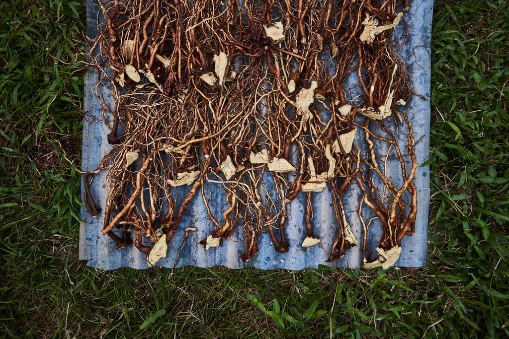 Pacific Island sunset